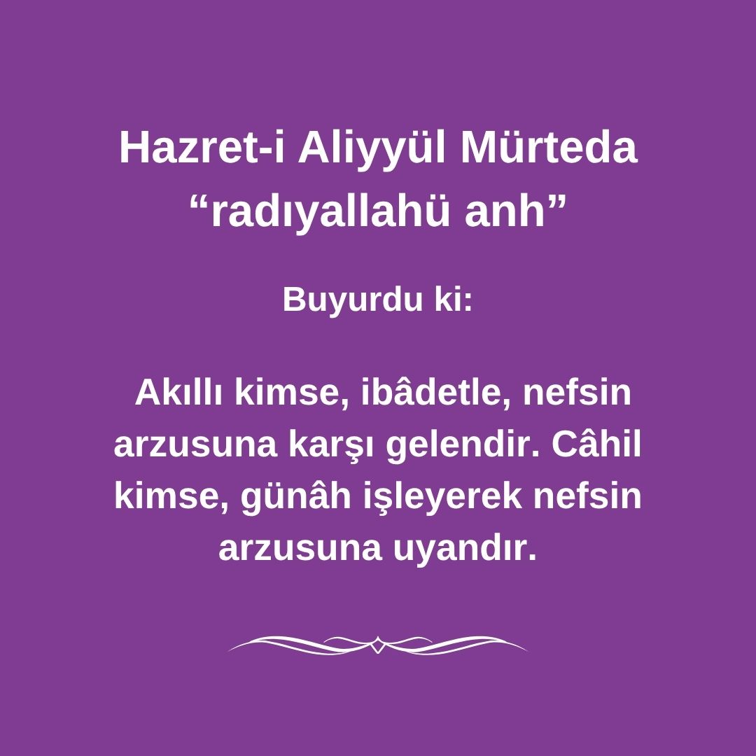 Aliyyül Mürteda (56)